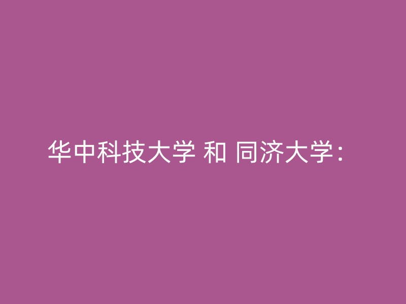 华中科技大学 和 同济大学：