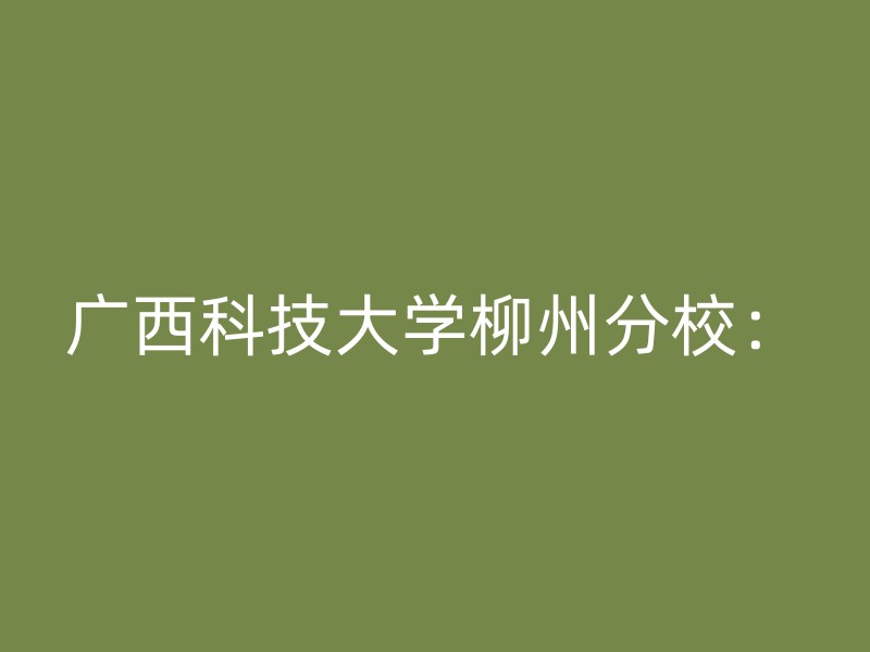 广西科技大学柳州分校：