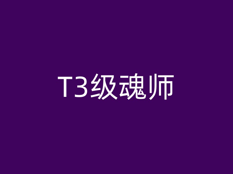 T3级魂师