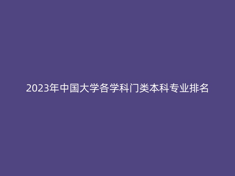 2023年中国大学各学科门类本科专业排名