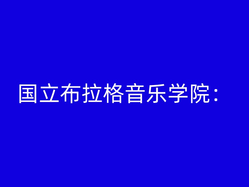 国立布拉格音乐学院：