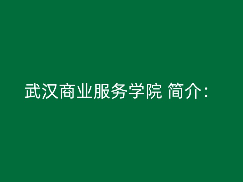 武汉商业服务学院 简介：