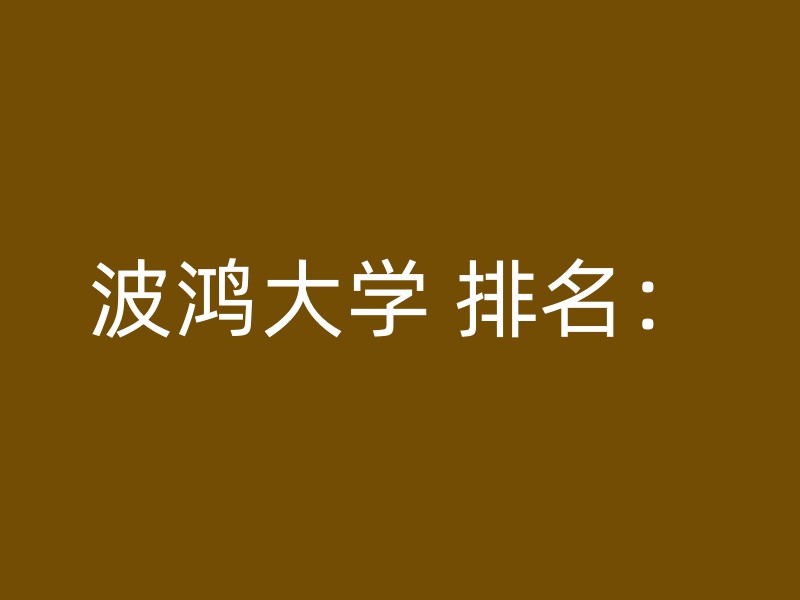 波鸿大学 排名：