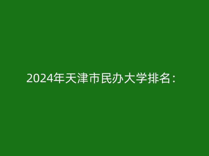 2024年天津市民办大学排名：