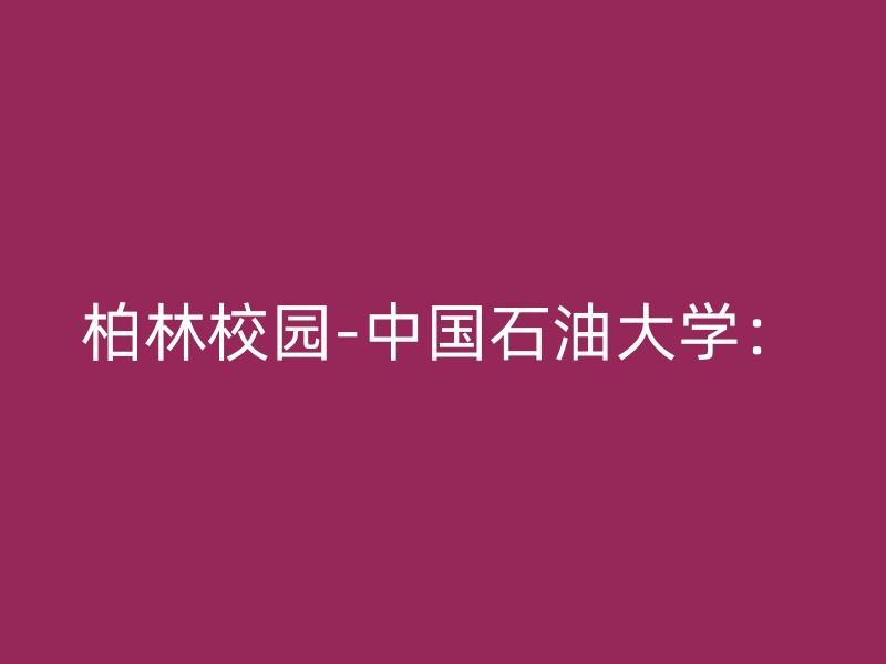 柏林校园-中国石油大学：