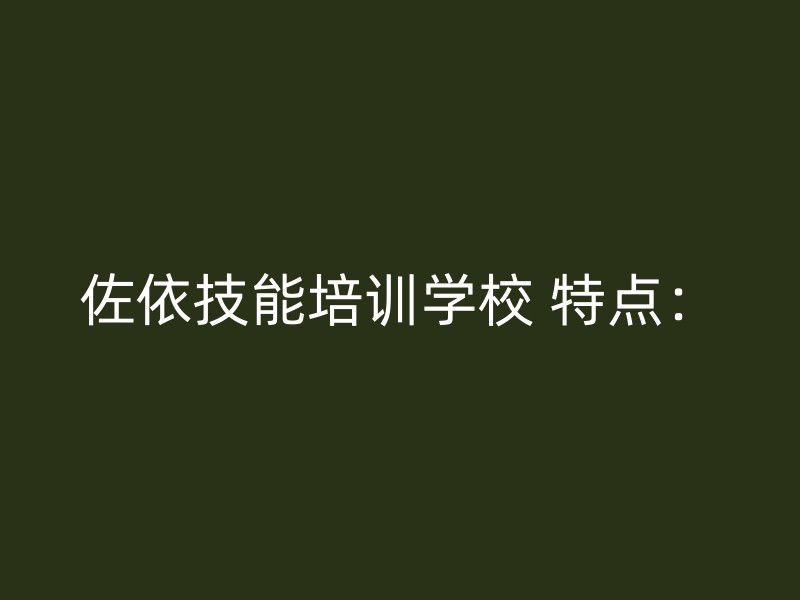 佐依技能培训学校 特点：