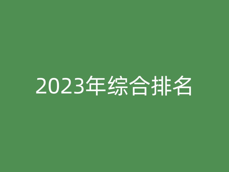 2023年综合排名