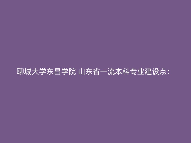 聊城大学东昌学院 山东省一流本科专业建设点：