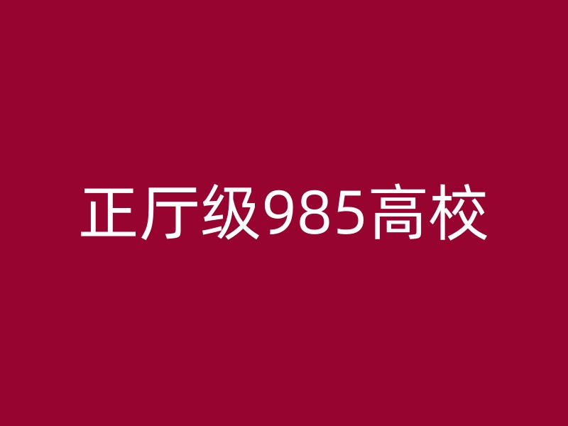 正厅级985高校