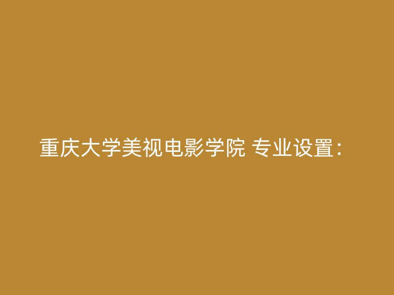 重庆大学美视电影学院 专业设置：