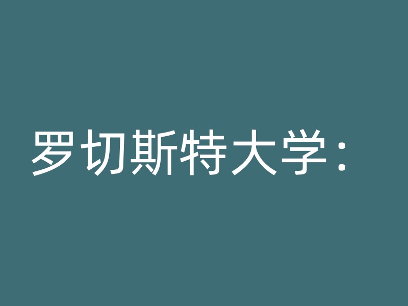 罗切斯特大学：