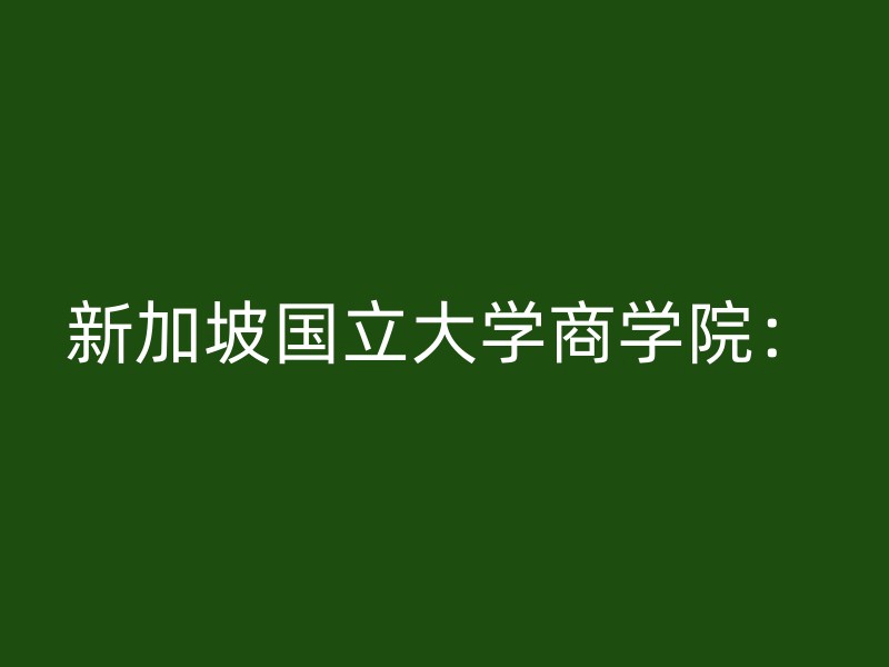 新加坡国立大学商学院：