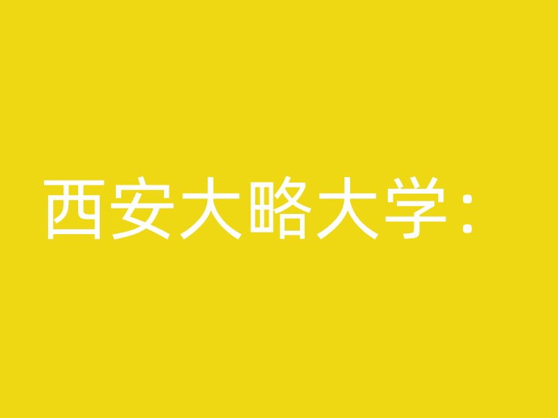 西安大略大学：