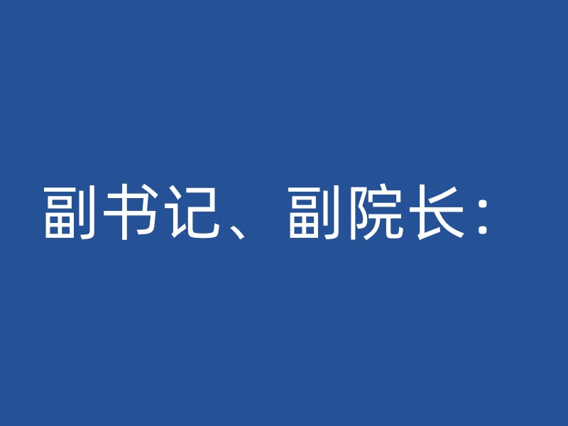 副书记、副院长：