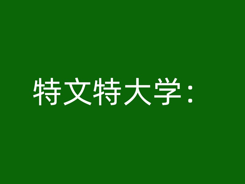 特文特大学：