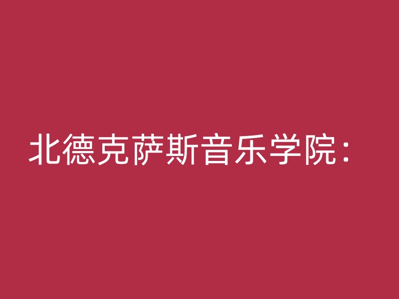 北德克萨斯音乐学院：