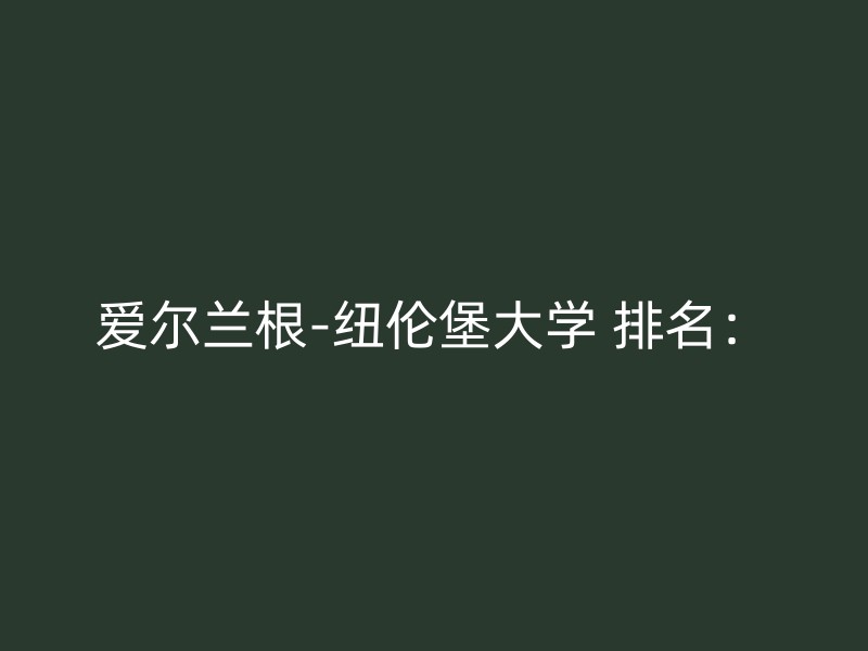 爱尔兰根-纽伦堡大学 排名：