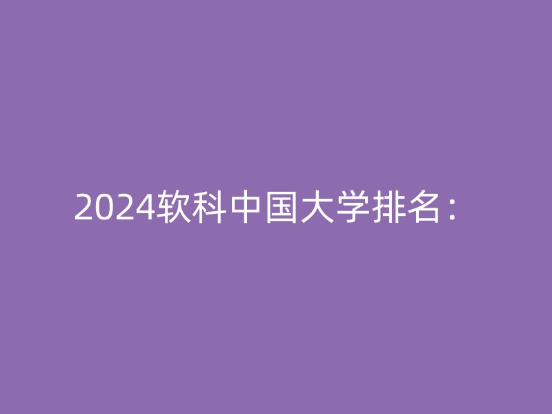 2024软科中国大学排名：