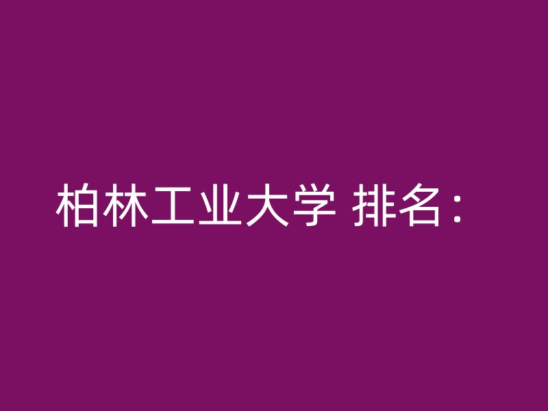 柏林工业大学 排名：