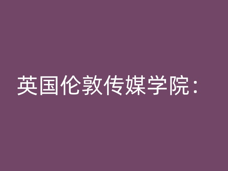 英国伦敦传媒学院：