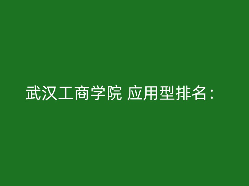 武汉工商学院 应用型排名：