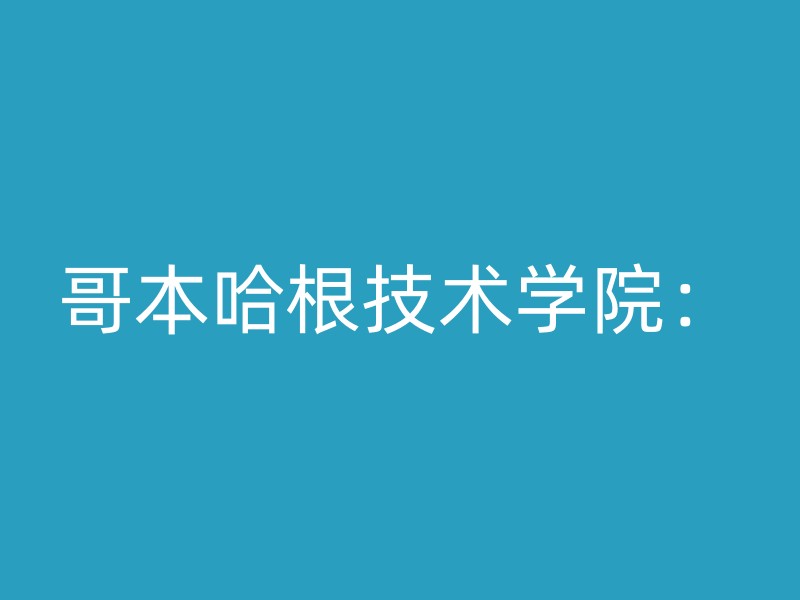 哥本哈根技术学院：