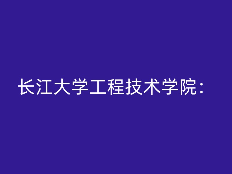 长江大学工程技术学院：