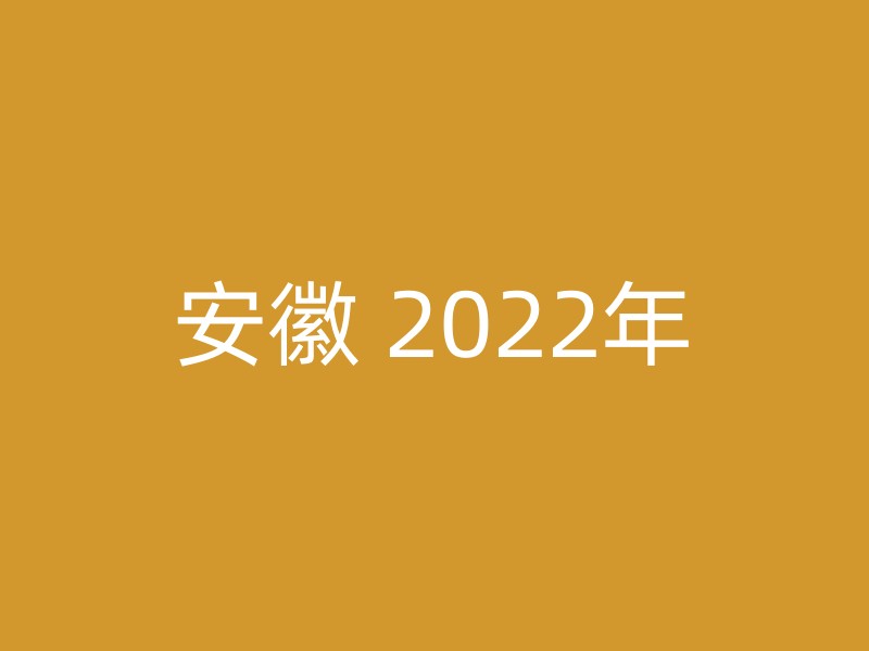 安徽 2022年