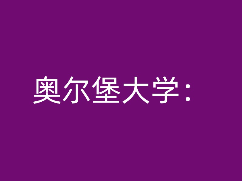 奥尔堡大学：