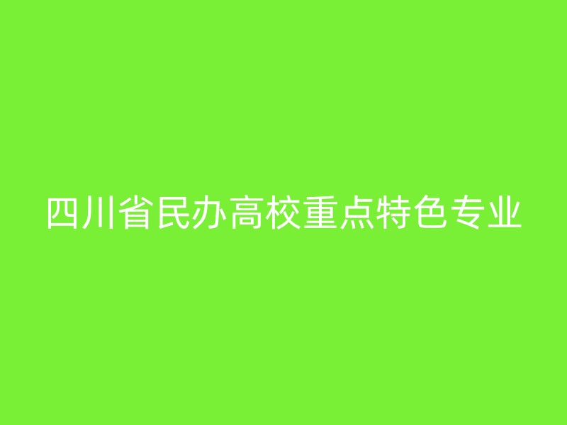 四川省民办高校重点特色专业