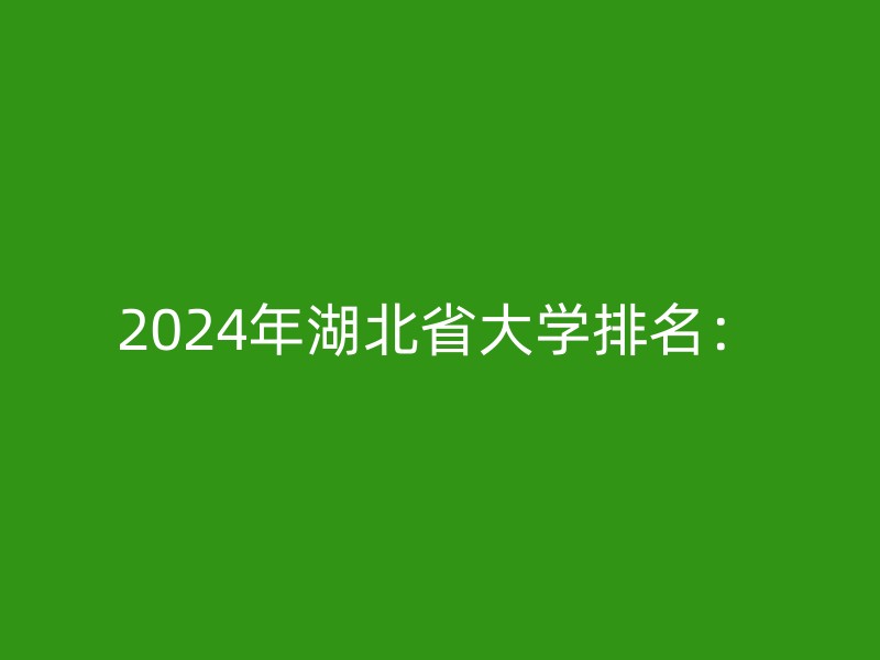 2024年湖北省大学排名：