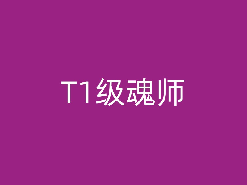 T1级魂师