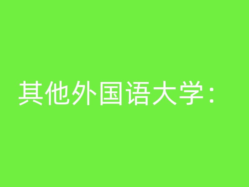 其他外国语大学：