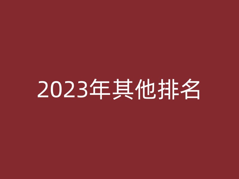 2023年其他排名