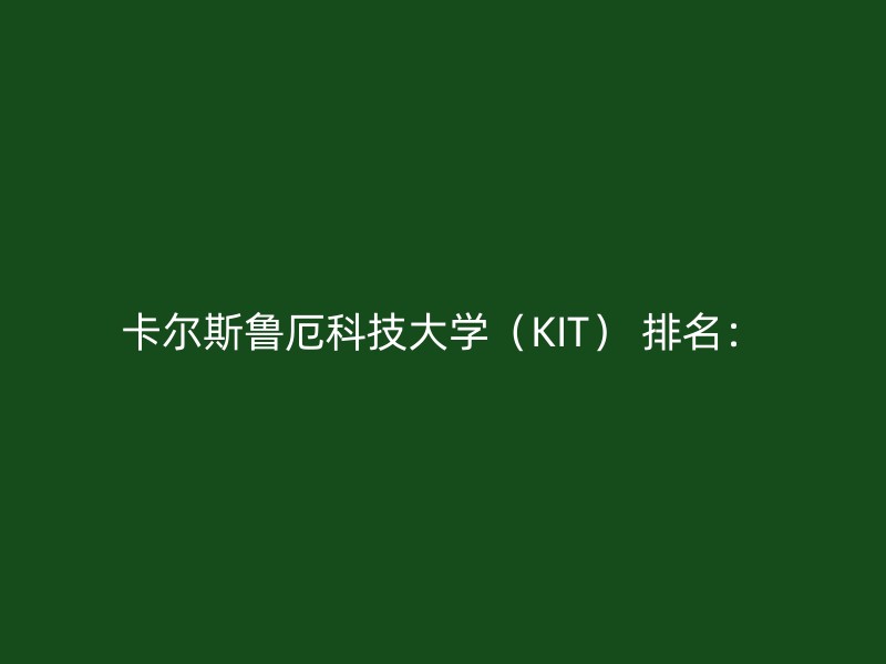 卡尔斯鲁厄科技大学（KIT） 排名：