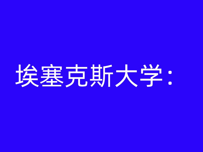 埃塞克斯大学：