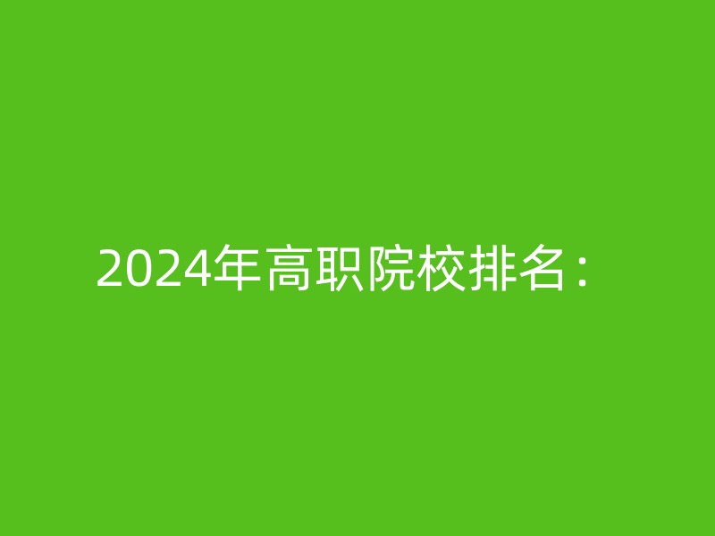 2024年高职院校排名：