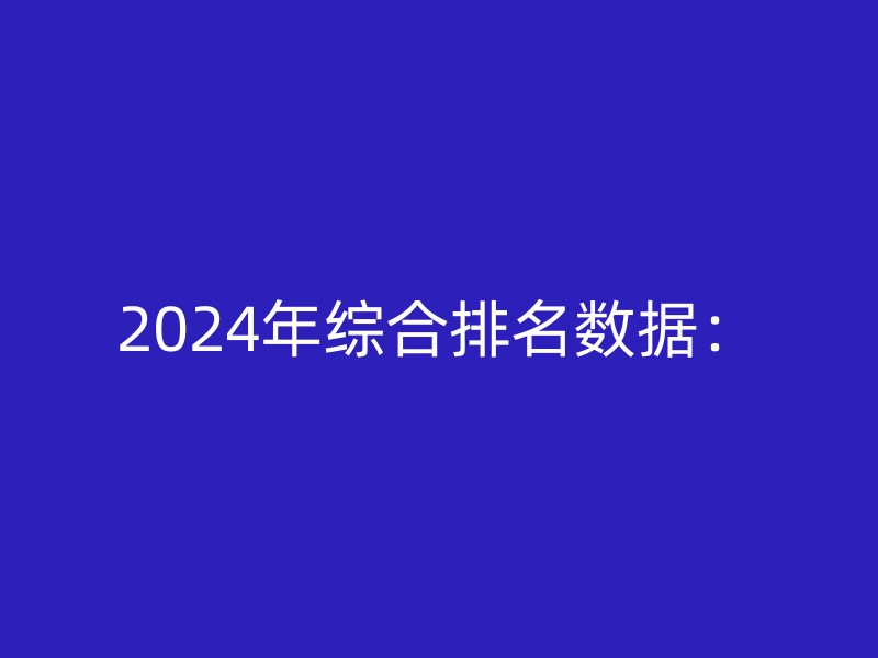 2024年综合排名数据：