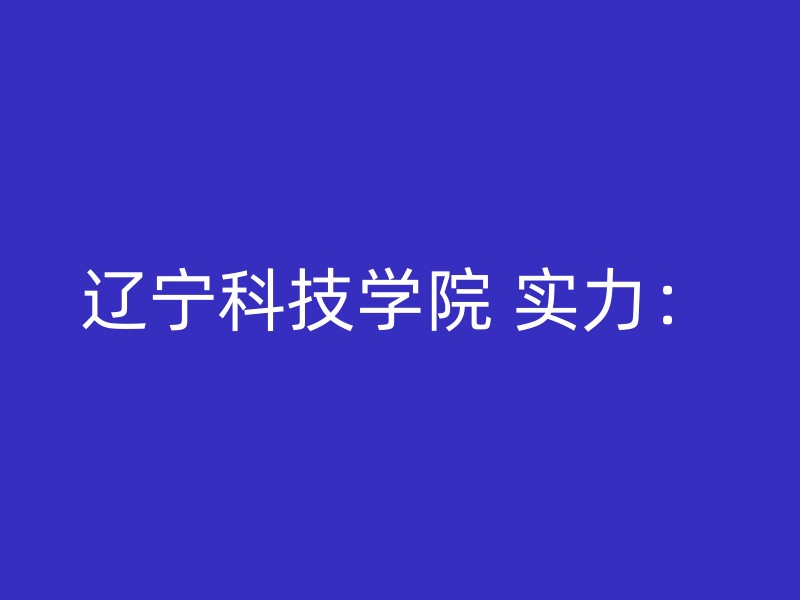 辽宁科技学院 实力：