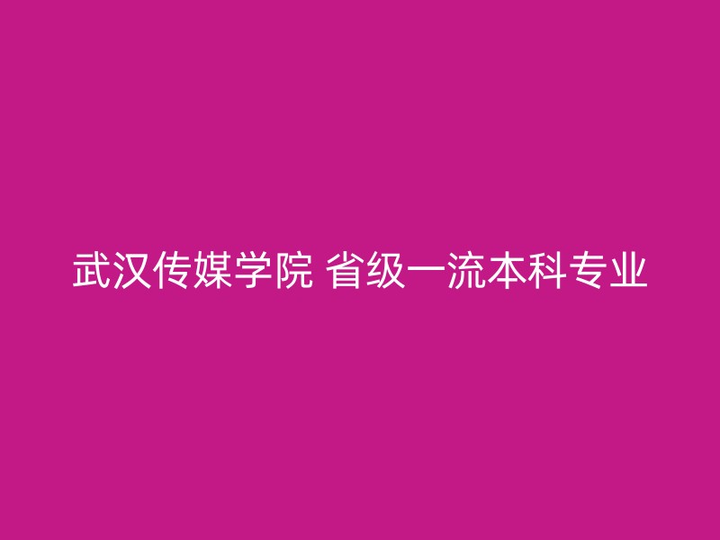 武汉传媒学院 省级一流本科专业