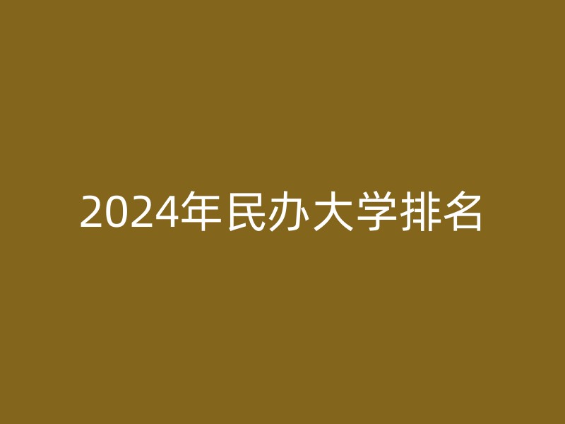 2024年民办大学排名