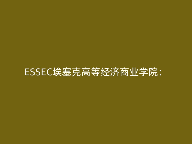 ESSEC埃塞克高等经济商业学院：