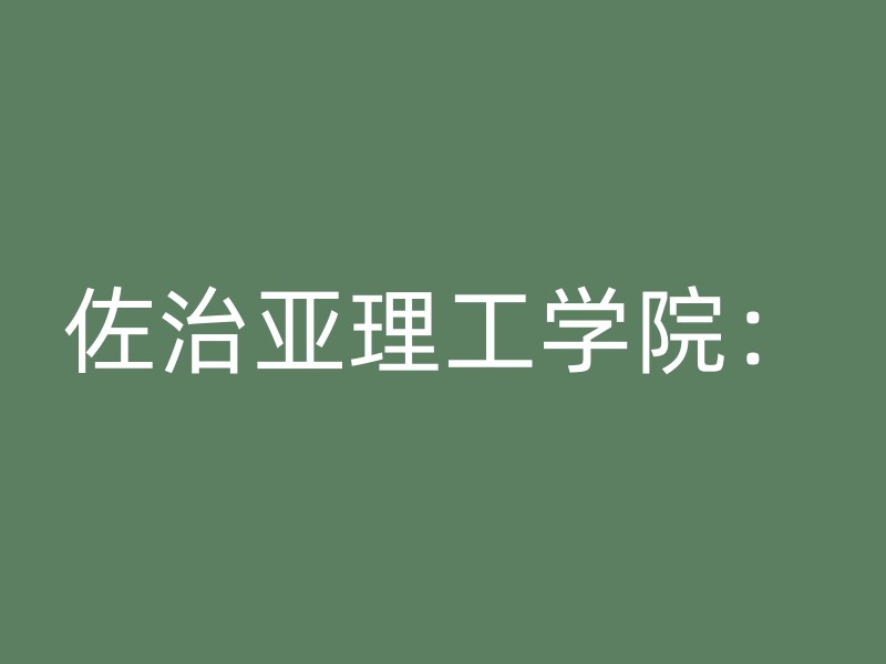 佐治亚理工学院：