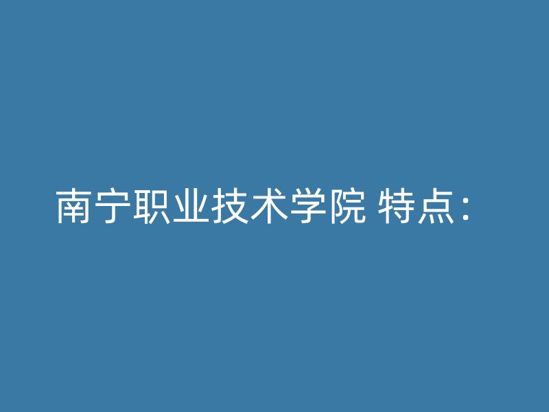 南宁职业技术学院 特点：