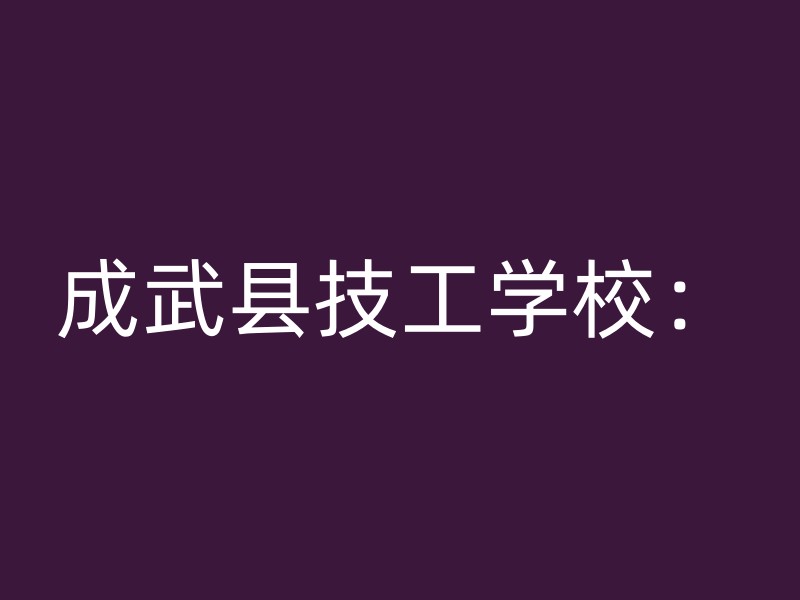 成武县技工学校：