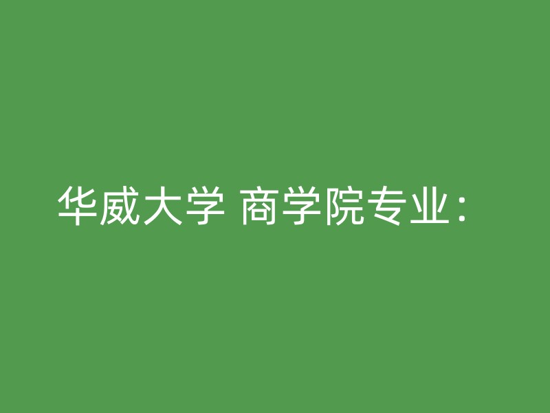 华威大学 商学院专业：