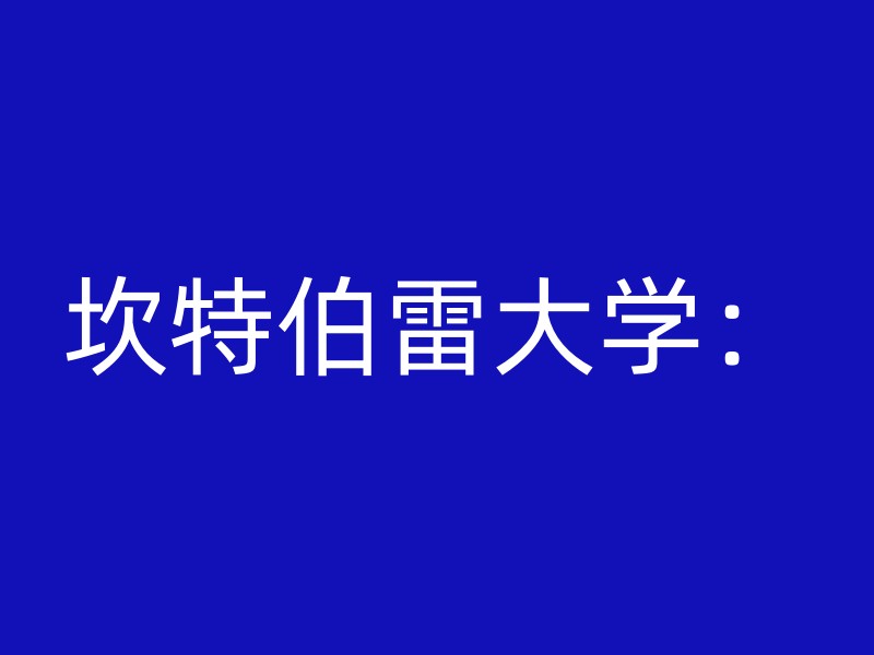 坎特伯雷大学：