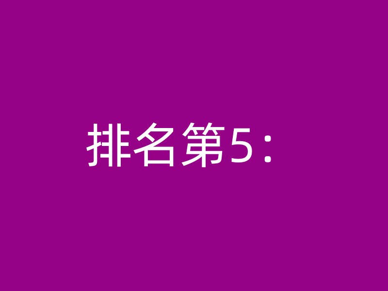 排名第5：