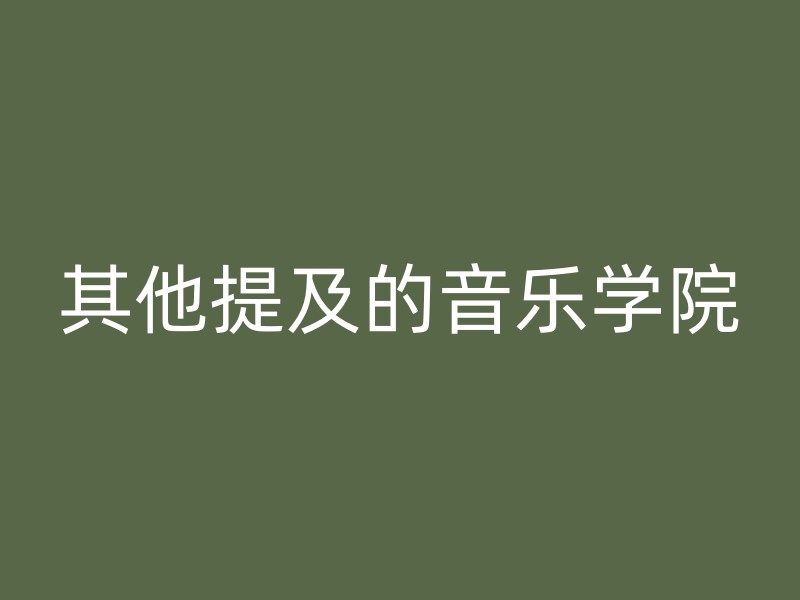 其他提及的音乐学院