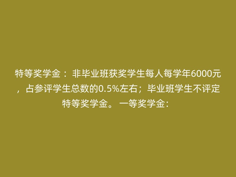 特等奖学金 ：非毕业班获奖学生每人每学年6000元，占参评学生总数的0.5%左右；毕业班学生不评定特等奖学金。 一等奖学金：